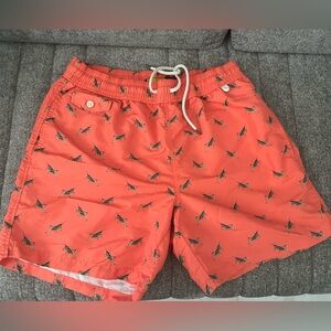 Gently used Polo RL Grasshopper print swim trunks, M